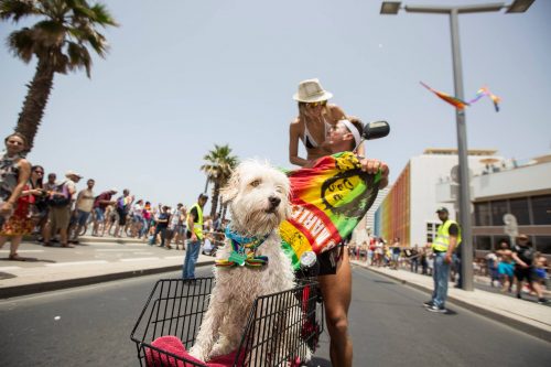 מצעד_הגאווה2016